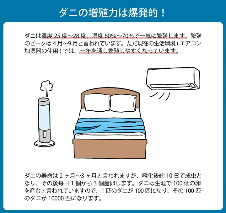 【日本製】ダニ対策 掛け布団 ピーチスキン生地 シンプル無地 国産 寝具 - Image 4