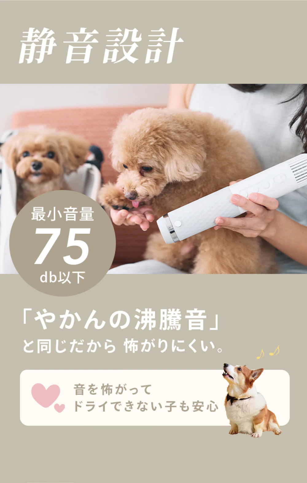 ペット犬猫用 高濃度イオン 速乾低温ドライヤー ハンディタイプ 温度風量調節可能 家庭用 旅行用【PSE認証】 - Image 21